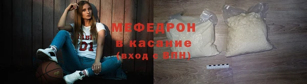 мдпв Ельня