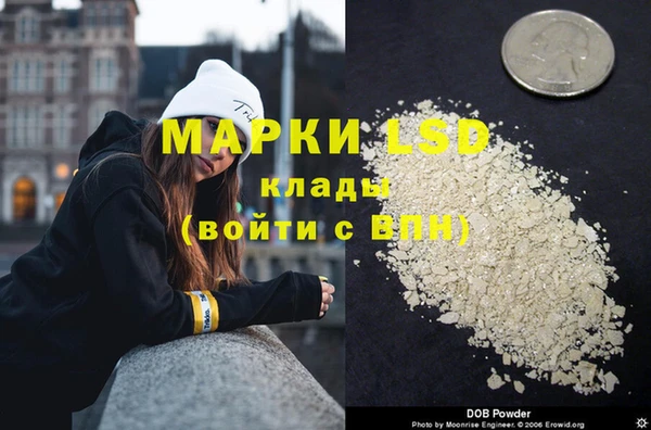 шишки Абинск