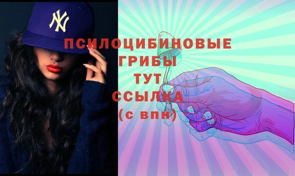 шишки Абинск